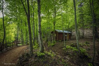 This scene was a forest stretching as far as the eye can see in the Turkish countryside Enjoy with me and share the adventure with me ..
