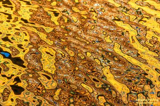 Акваграфика весеннего Петербурга