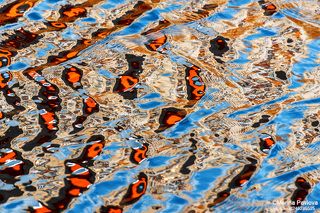 Акваграфика весеннего Петербурга