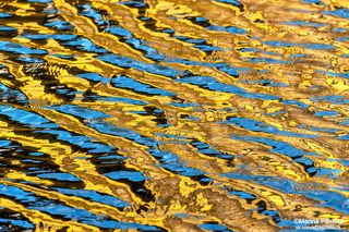 Акваграфика весеннего Петербурга