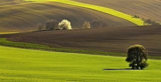 South Moravia