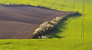 South Moravia