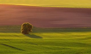 South Moravia