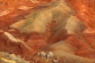 На дне древнего моря