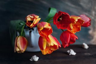 часть исходного материала