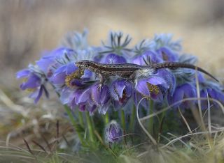 Я была уверена, что все должно быть наоборот!