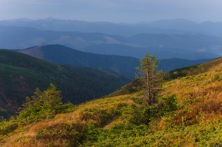 Осенние краски. 
Слева на горизонте Румынские Карпаты и гора Фаркеу, справа видно Мармаросы.