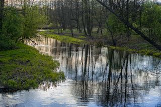 02 Но в начале мая первая зелень по берегам такая яркая, ...