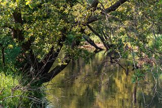 03 … можно долго бродить в поисках самых живописных фрагментов, вроде этого, …