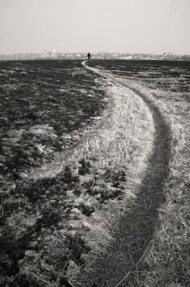 Кажется извилистой...