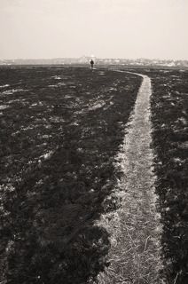 Но на самом деле, состоит из прямых участков... 

Нам сташно идти вперед, нам все кажется трудным... но ступив, мы идем и идем... и все не так уж ужасно... шаг за шагом, километр за километром... и путь уже не кажется извилистым, он очень даже прям... главное, принимать верные решения и не увлекаться окольными путями... наверное...