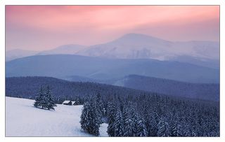 на ЗП г.Говерла, 2061 м.