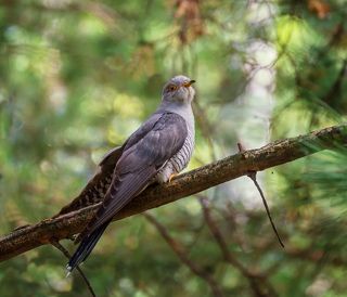 любуйтесь на меня.. )