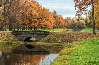 Виттоловский канал