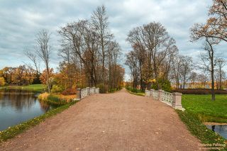 Сиреневая аллея