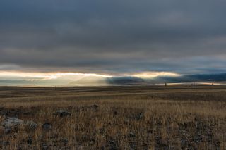 02 … фотогеничной…