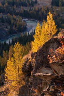 Аргут за Джазатором.