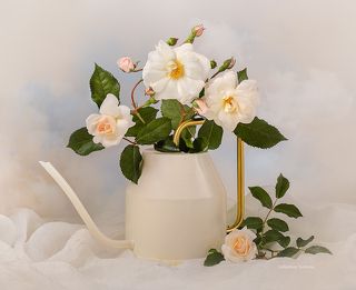 С розами в лейке