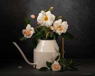 С розами в лейке 2