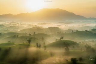 Far away to the tea hill...2