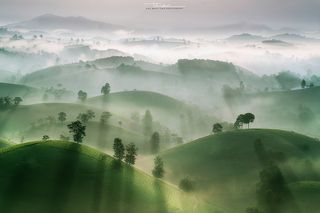 Far away to the tea hill...3