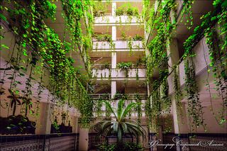 Кадр из фильма \