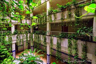 Я в ловушке между 2021 и 2027 годами. Я нахожусь в мире, параллельном вашему