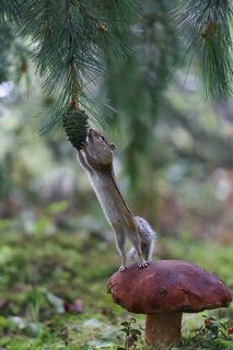 Я так нежно тебя обниму...