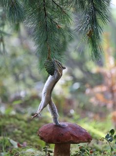 Я так крепко тебя поцАлую!!!!