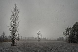 Первый снег... начало