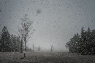 Первый снег... через 10 минут...