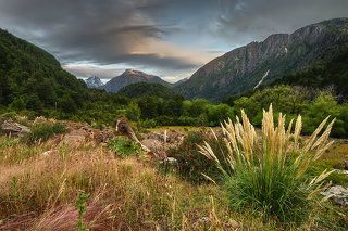 Чили, Патагония, берег реки Футалефу