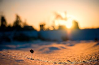 конец мечты