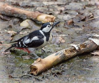наслаждение ..