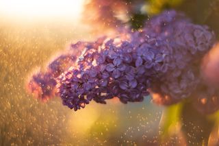 Снято на закате