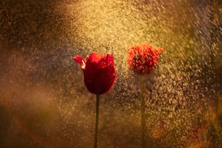 Снято на закате