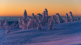 02 Маджента становится всё ярче и насыщеннее, …