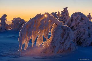 01 Сибирская зима – это не только искрящийся иней и снежные кружева, …