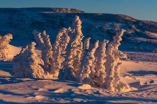 02 … снежные кружева на них особенно рельефные и фактурные
