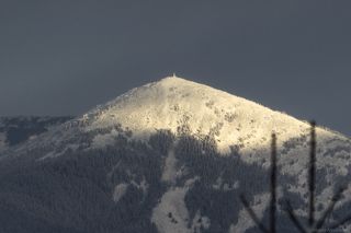 Хомяк, вид с Говерлы