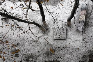 Асфальтовые холсты