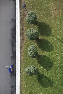 Асфальтовые холсты