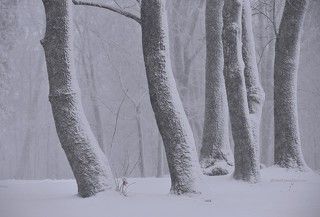 Россия.Псковская область.