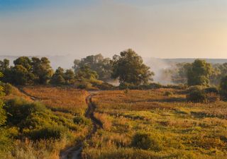 с. Савицкое, Липецкая обл.