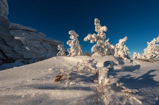 01 Рассвет пролетел, как одно мгновение и погожее зимнее утро наступило в царстве Снежной Королевы