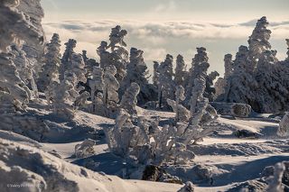 02 Здесь ритм зимних фактур эффектно завершили облака на заднике, …