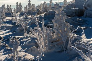 03 … а здесь – глубокие синие тени