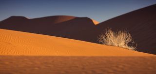 Намиб - самая древня пустыня в мире