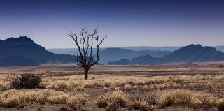 пустыне около 80 миллионов лет. Здесь ничего не изменилось со времен динозавров