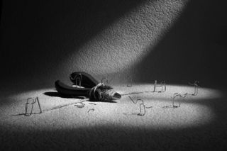 Жизнь Скреп